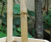 detail2 sub1