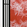 thumb1
