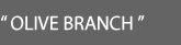 OLIVE BRANCH